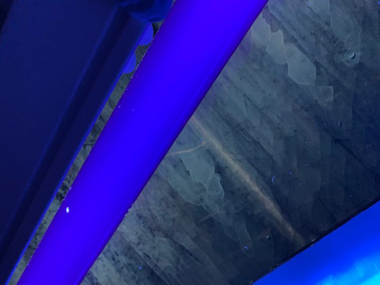 ① 紫外線撮影：ワニスの塗布や補彩の有無を確認することができます。